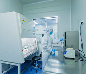  ��������S19