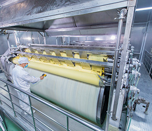  ��������S31